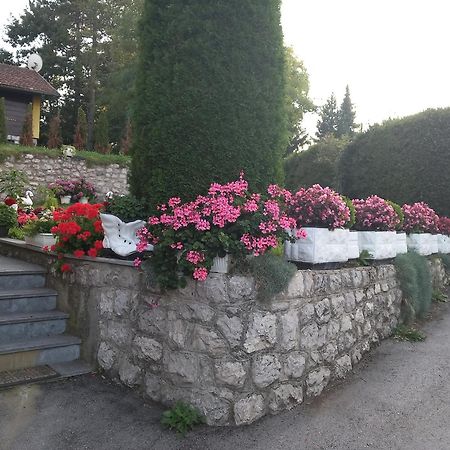 Apartment Vihor Zlatibor Exterior foto