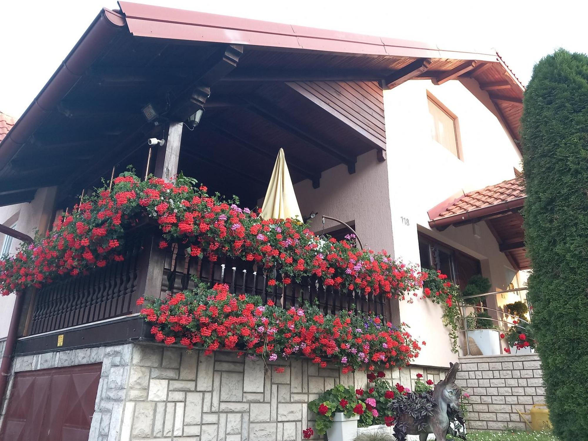 Apartment Vihor Zlatibor Exterior foto