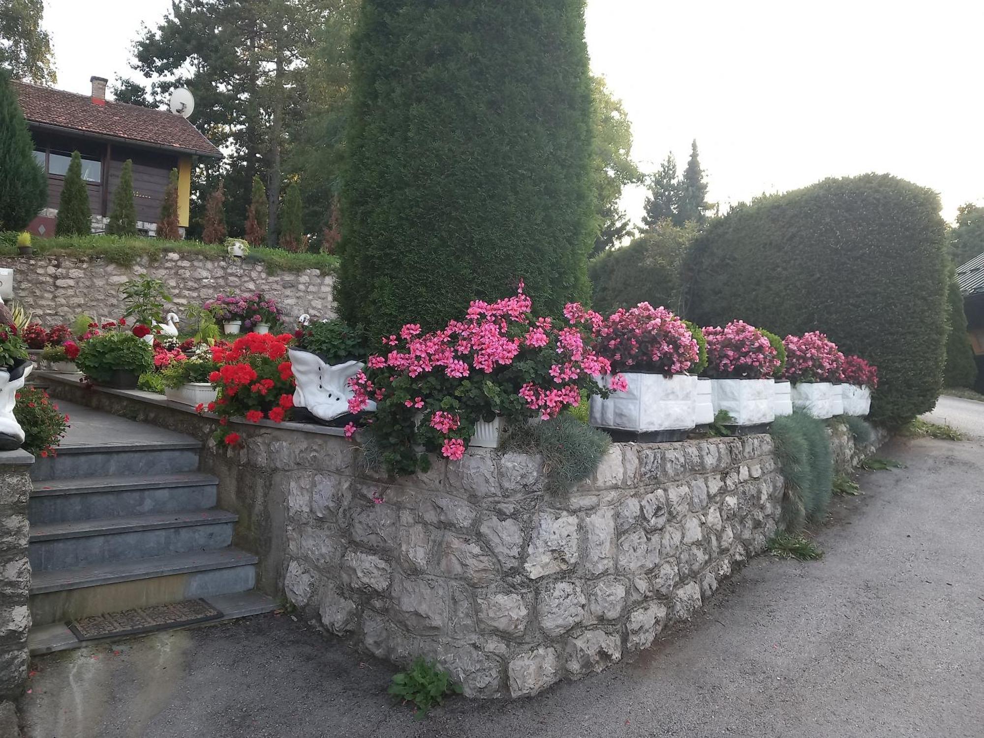 Apartment Vihor Zlatibor Exterior foto